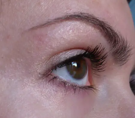 giorgio_armani_madre_perla_eye_palette_look_winter_2011_1